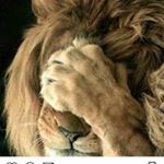 Profile Picture of david cullingford (@david.cullingford) on Instagram