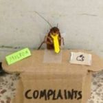 Profile Picture of Chad Milton (@milton_chad) on Instagram