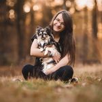 Profile Picture of Jackie, Rocket & Jarvis (@marvelous.dog.pack) on Instagram