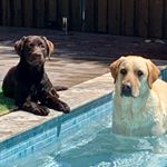 Profile Picture of Luke Parnell (@parnell.luke) on Instagram