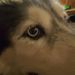 Profile Picture of David Hilton (@unfontable) on Pinterest