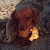 Profile Picture of Miranda Rowe (@mirandapanda1970) on Youtube