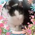 Profile Picture of Kim Crowder (@kim.crowder.790) on Facebook