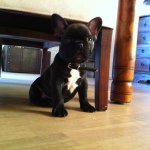 Jacobthomsen - Instagram Profile Picture of Jacobthomsen (@jacobthomsen123) on Instagram