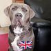 Profile Picture of Matt Braithwaite (@matthew.braithwaite.549) on Facebook