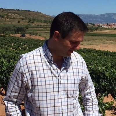 Profile Picture of David Ferrer (@davferrer) on Twitter