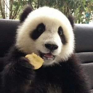 Profile Picture of Jim Luk (@luk_jim) on Twitter