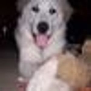 Profile Picture of Sandy Maraguglio (@258906674) on Myspace