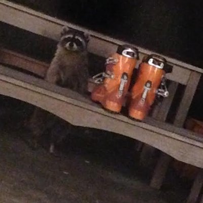 Profile Picture of Charles Rittmann (@CharlesRittmann) on Twitter