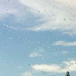 Profile Picture of tina k. (@tinakellings) on Instagram