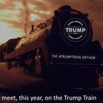 Nancy Norman - Instagram Profile Picture of Nancy Norman (@roundaboutmullett) on Instagram