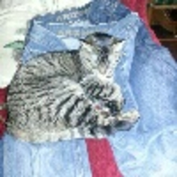 Profile Picture of John-david Ezell (@jdtycoon) on Poshmark