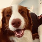 Profile Picture of My_Favourite_Brand (@roberta.castorina) on Instagram