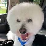 Profile Picture of Casper Meyer (@casper_meyer) on Instagram