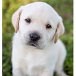 Profile Picture of John Colonello (@john_colonello12) on Instagram