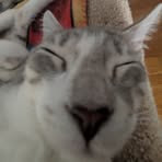 Profile Picture of Jeffrey Baum (@Jeffrey-Baum) on Facebook