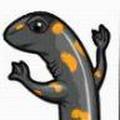 Profile Picture of Thomas Ryder (@@user976755265346) on Tiktok