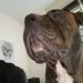 Profile Picture of Jerry de Hoon (@jerrydehoon) on Pinterest