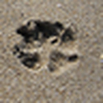 Profile Picture of %u4E91%u6606 %u6768 (@James.Y.Yang) on Flickr