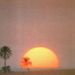 Profile Picture of Tamara Lugonzo (@tamaralugonzo) on Pinterest