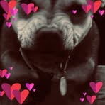 Profile Picture of Hayden Climie (@Hayden-Climie) on Facebook