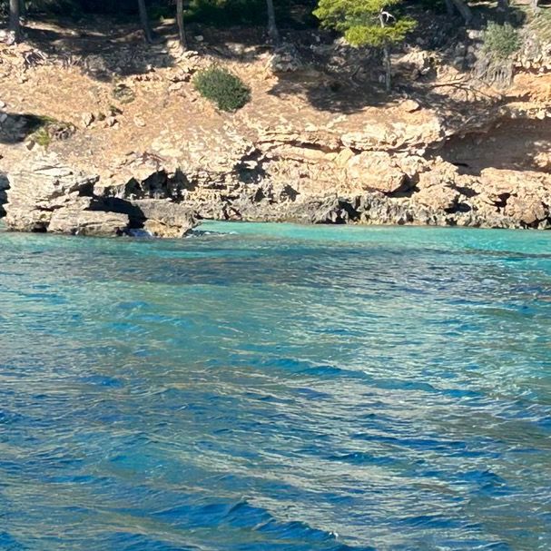 Profile Picture of sandra dervaux (@sandra.dervaux) on Tiktok