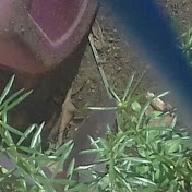 Profile Picture of Carlos Tavares (@carlostavares8220) on Youtube