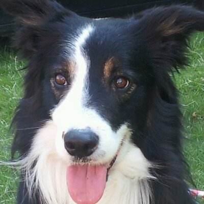 Profile Picture of Paul Mclellan (@paulmclellan84) on Twitter