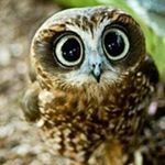 Profile Picture of Michael Arath Martinez Botello (@michaelarathmartinezbotello) on Instagram