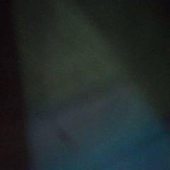 Profile Picture of Gregorio Padron (@gregorio.padron8) on Tiktok