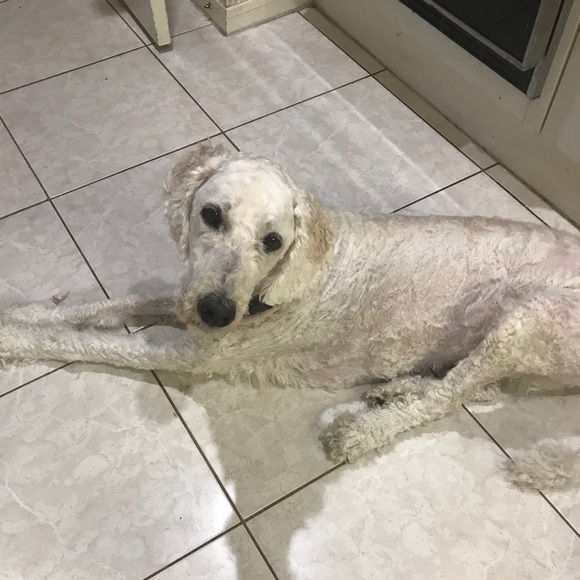 Profile Picture of Melissa Ephron (@mephron) on Poshmark