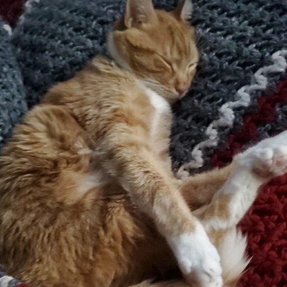 Profile Picture of Matthew Afflerbach (@mafflerbach1994) on Poshmark