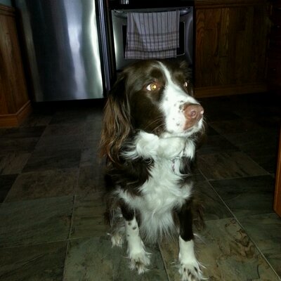 Profile Picture of David Pearse (@davidpearse9) on Twitter