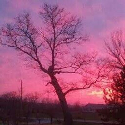 Profile Picture of Karen Cleaver (@K11229Karen) on Twitter