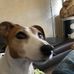 Profile Picture of David Porcher (@david.porcher.3) on Facebook