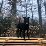 Profile Picture of Clayton Pilcher (@Clayton-Pilcher) on Facebook