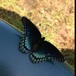 Profile Picture of Jillian Jasinski (@_photography_by_jillian) on Instagram