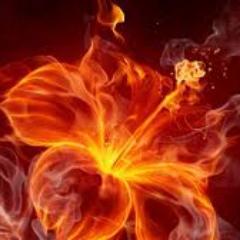 Profile Picture of Corey Tague (@Coreyt122) on Twitter