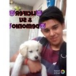 Profile Picture of Sergio Domenico Diaz (@domenicodiaz) on Instagram