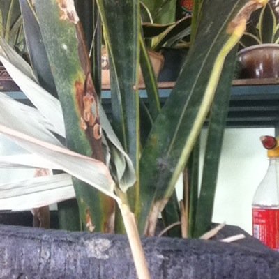 Profile Picture of Andy (@andy_rayman0222) on Twitter