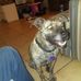 Profile Picture of Kevin Milam (@kevin.milam.984) on Facebook