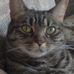 Profile Picture of Tracey Harley (@tracey.harley.9) on Facebook