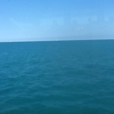 Profile Picture of Joyce Hogan (@joy512) on Twitter