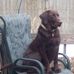 Profile Picture of Cooper McCue (@cooper.mccue.7) on Facebook