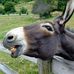 Profile Picture of Chad Ferrell (@chad.ferrell.73345) on Facebook