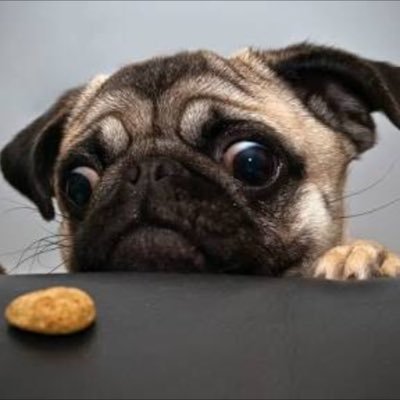 Profile Picture of Tom Petrie (@tompetrie01) on Twitter