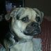 Profile Picture of Kenya Fowler (@kenya.fowler.77) on Facebook