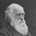 Profile Picture of Robert Darwin (@robert.darwin.77985741) on Facebook