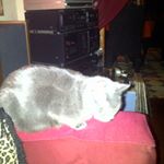 Profile Picture of Christopher J. LeMonte (@christopherlemonte) on Instagram