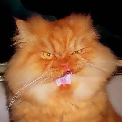 Profile Picture of MikeDonavan (@MikeDonavan2) on Twitter